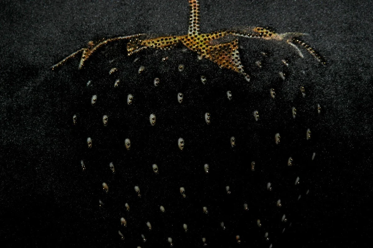 Luxury decorative cushion Strawberry with Bling Bling glitter stones black / gold 45 x 45 cm - Finest velvet fabric - Luxury decorative accessories