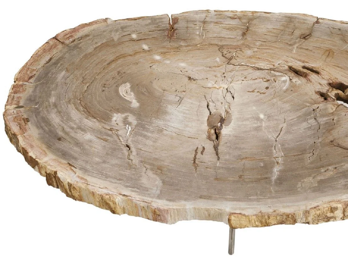 Luxury coffee table natural colors / silver 115 x 68 x H. 35 cm - Elegant living room table with petrified wood table top and stainless steel legs - Luxury living room furniture