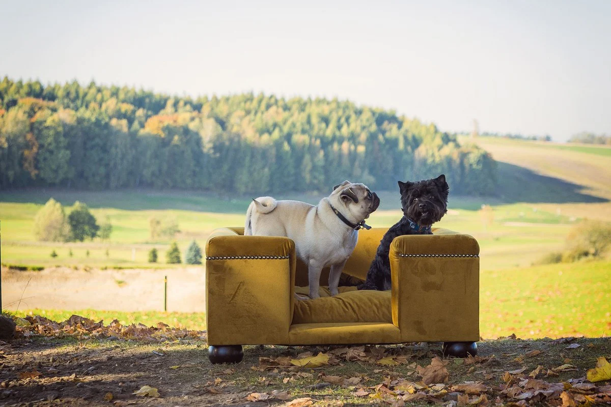 Luxury dog ​​bed ocher / dark brown / ocher 95 x 75 x H. 37 cm - Modern rectangular dog bed with cushions - Luxury dog ​​furniture - Luxury pet furniture